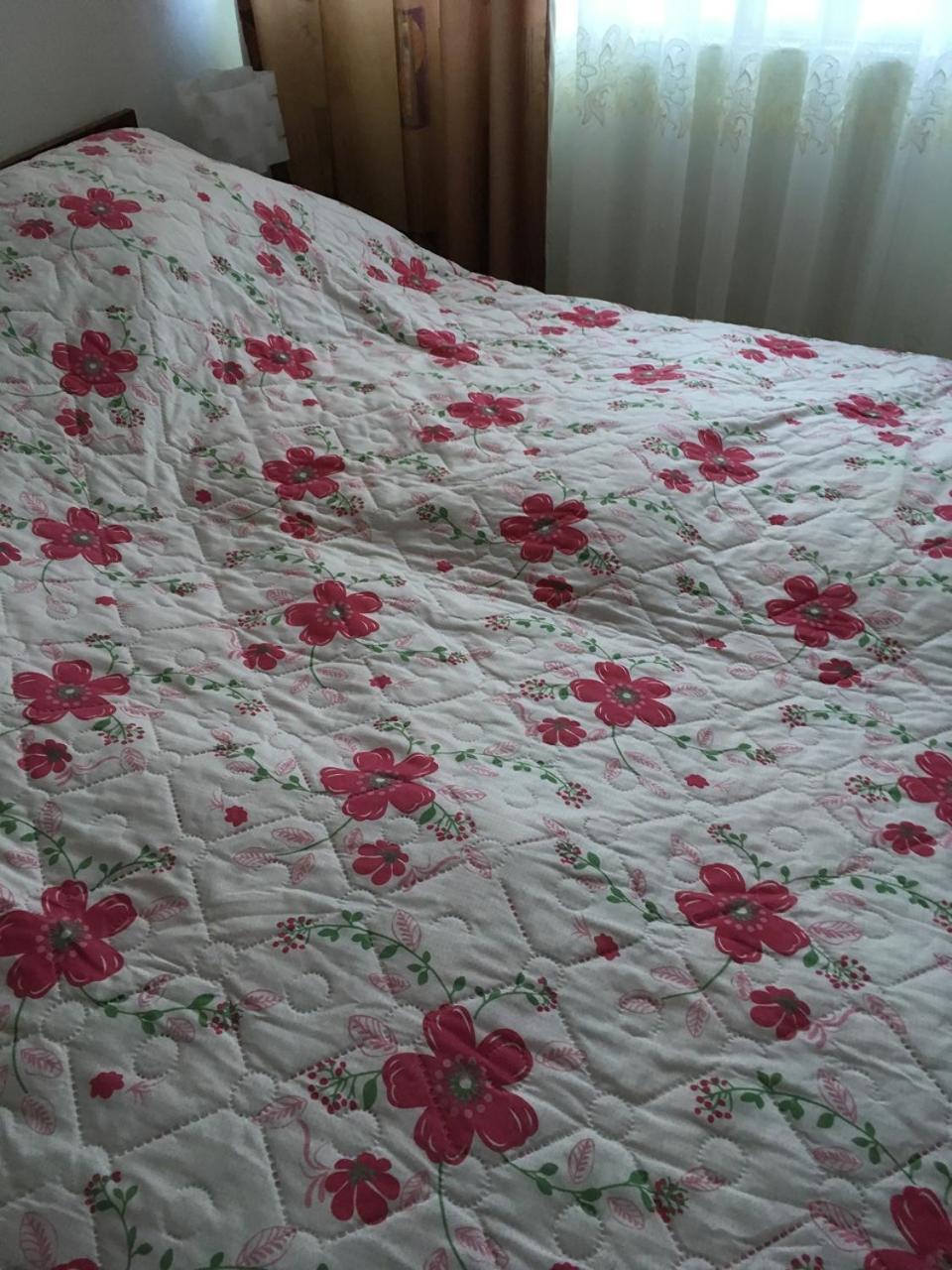 Apartaments In Karpaty Mizhhirya  Esterno foto
