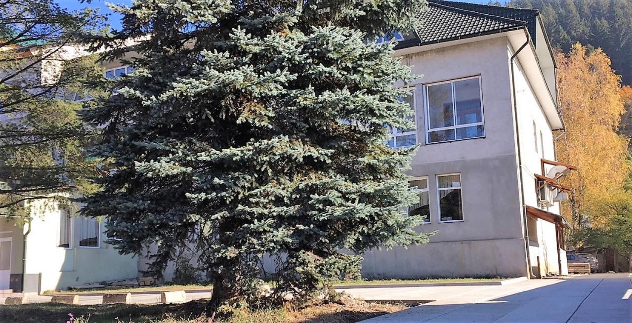 Apartaments In Karpaty Mizhhirya  Esterno foto